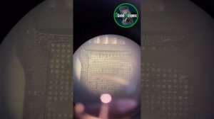 Redmi Note 9 sensor does not work/Redmi Note 9 не работает сенсор