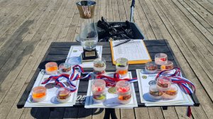 Соревнования ООиР ЦАО г Москвы по рыбной ловле Весенний карп 2025