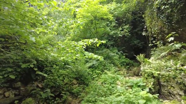 Грузия 2024  Боржоми Кутаиси Батуми  Часть 3