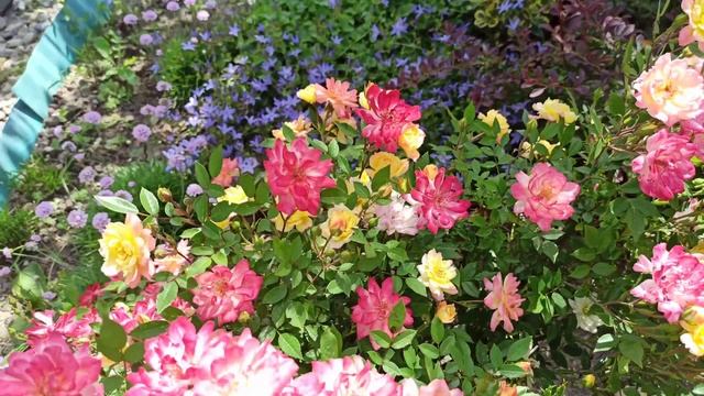 Как вы считаете, нормально это или нет? смотреть онлайн