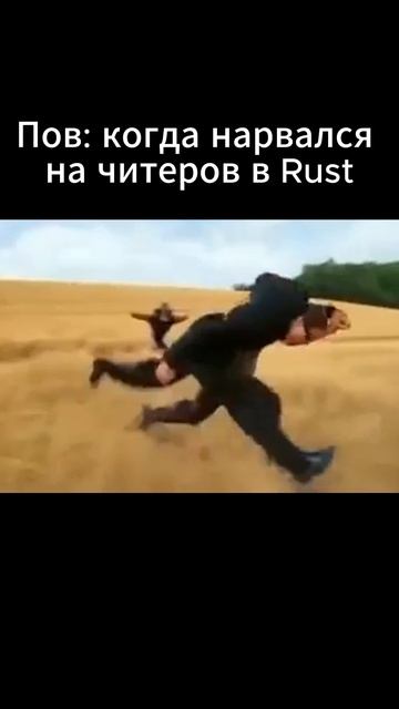 Rust нарвался на читеров #rust #раст смотреть онлайн