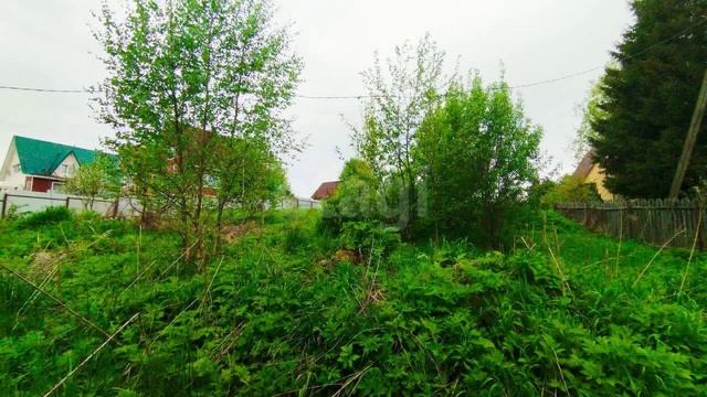 Пчёвжинское сельское поселение, деревня Белая, Центральная улица смотреть онлайн