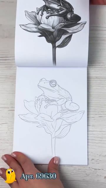 Раскраска «Мои скетчи» – для тех, кто еще не умеет рисовать, но очень хочет научиться. смотреть онлайн