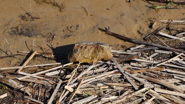 Подготовка пляжей