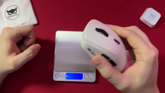 PAW3950, 8К и БРУТАЛЬНЫЙ ДИЗАЙН! Пред-обзор Waizowl OGM Pro V2