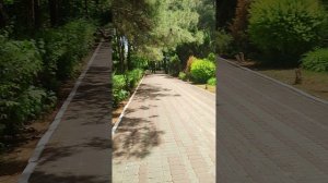 Дивноморский санаторий Министерства обороны май 2025 года