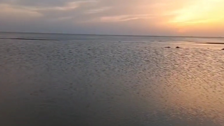 Ейск сегодня и сейчас 26-05-2025 , креветок много сегодня на заливе ! смотреть онлайн