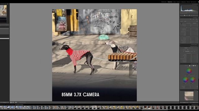 RAW в Vivo X200pro. Меня удивило качество фото.
