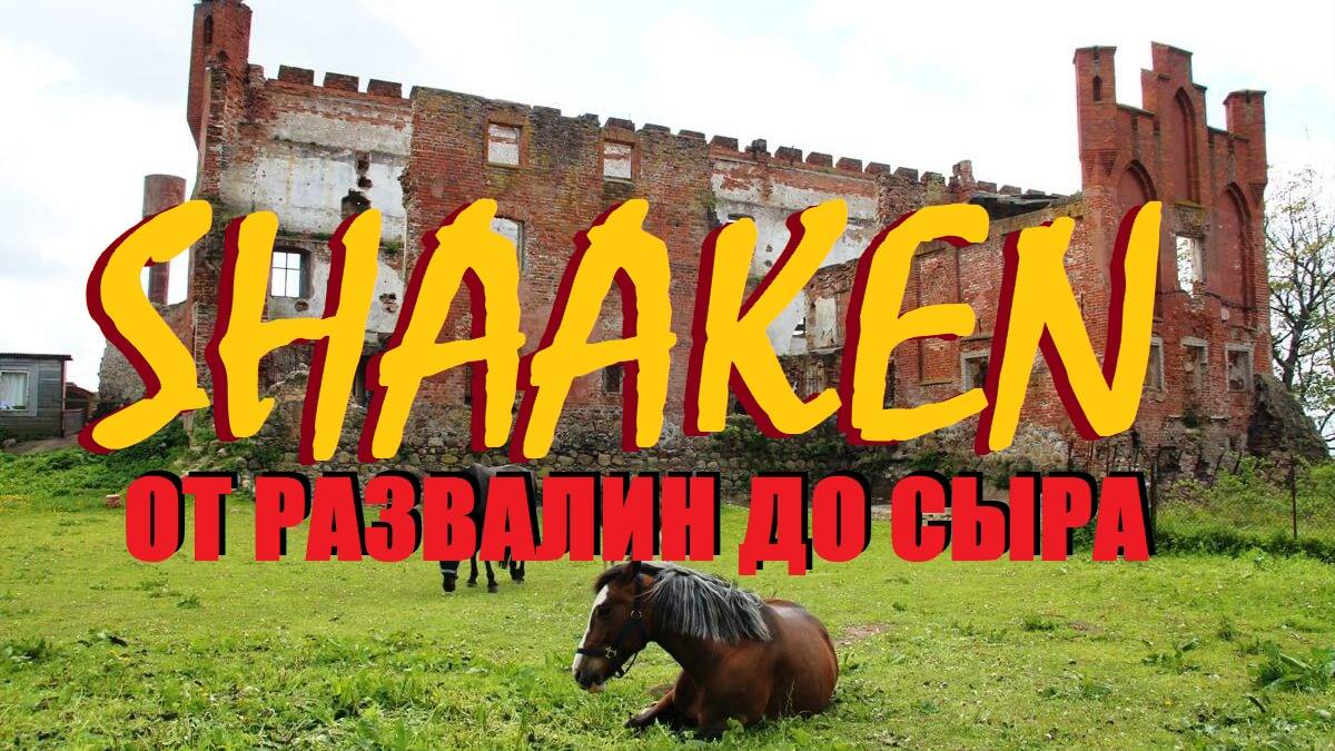 ЗАМОК ШААКЕН | ТАИНСТВЕННО-ДОРОГОВАТЫЙ | СЫРОВАРНЯ |НЕКРАСОВО ПОЛЕ I КУРШСКИЙ ЗАЛИВ I ЛОШАДИ И ВЕСНА