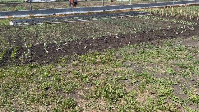 Так прошел выходной смотреть онлайн