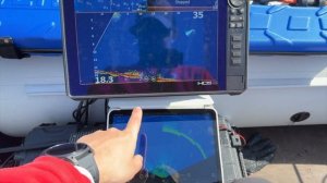 ПАНОПТИКС из КИТАЯ Accuphy, РЕЛИЗ ПРИЛОЖЕНИЯ! УСТАНАВЛИВА