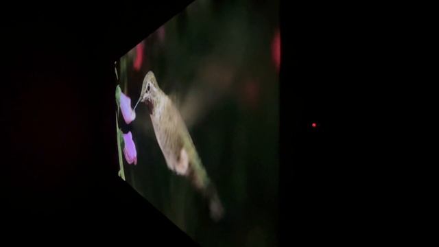 ✅ ТОП 4к смарт проектор з TEMU