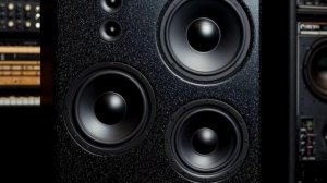 ACUSTICA NATURALE изготовление акустики на заказ, ручная сбор?