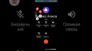 мне звонит яндекс алиса! Это не рофл!!