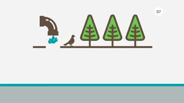 Ролик для компании INTERNATIONAL PAPER смотреть онлайн