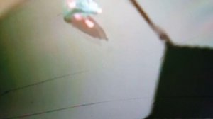 рататуй 2 фильм