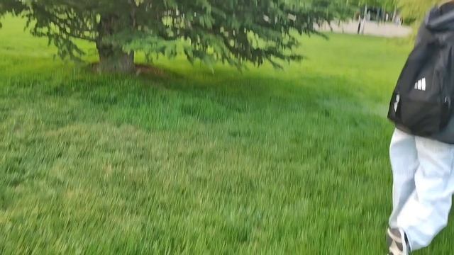 На улице прекрасная погода кто хочет погулять идём со мной в парк. смотреть онлайн