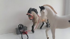 Видео обращение