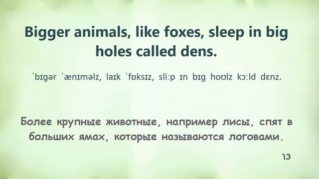 5. День и ночь в пустыне. Английский для начинающих, на ?