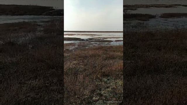 ЯНАО_2022_HD 720p.mp4