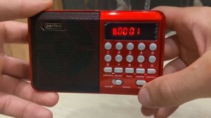 Автопоиск радиостанции на Радиоприемнике Perfeo PALM