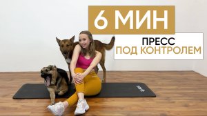 6 МИНУТ ПРЕСС ПОД КОНТРОЛЕМ - тренировка дома на пресс / без оборудования