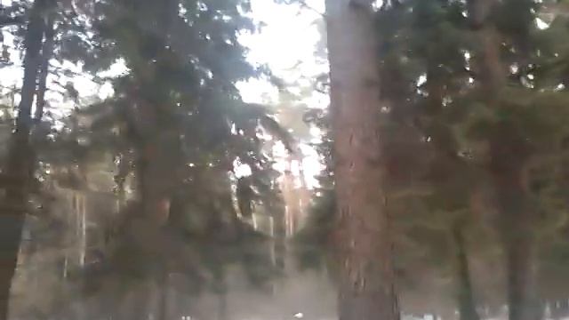 Наш заказник (Деревня Большое Стиклево)