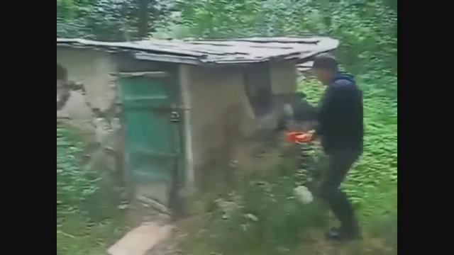 Приколы 2019 самое смешное за последние сутки смотреть онлайн