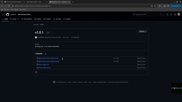 Как работает кастомный майнер в HiveOS и MINUX-OS