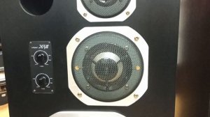 Колонки CORAL X-VII