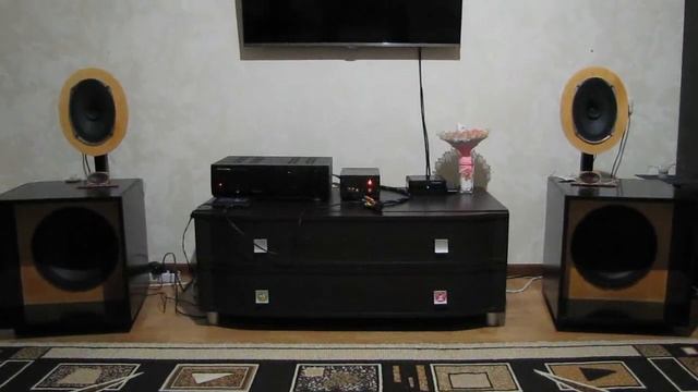 Звучание динамиков Alphard PS12 и ETP1623-Z1 смотреть онлайн