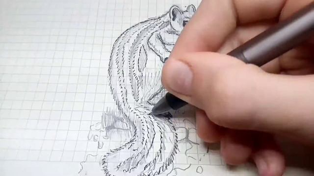 Рисуем бурундука.Мини версия. смотреть онлайн