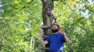 07.07.2024 - Как правильно установить фотоловушку в лесу