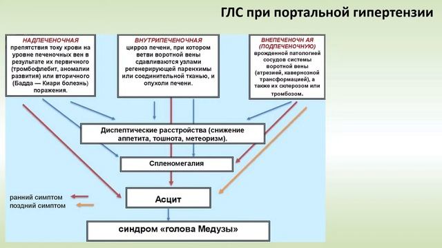 Гепатолиенальный синдром смотреть онлайн
