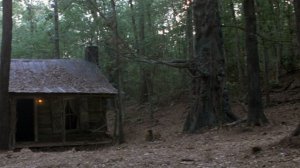 Тест телевизора на плавность движения динамических с?