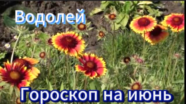 Водолей! Гороскоп на июнь 2025 года! смотреть онлайн