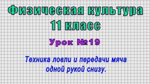 Физическая культура 11 класс (Урок№19 - Техника ловли и передачи мяча одной рукой снизу.)