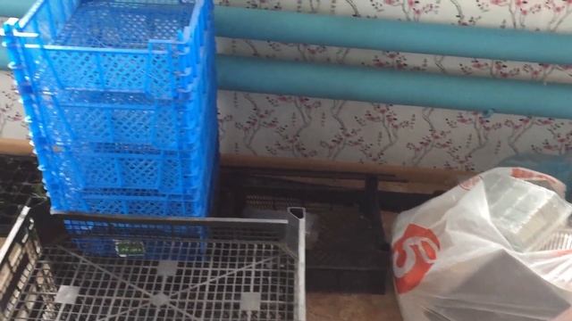 Купили дом в деревне за 700 000 руб.Начало весенне летнег?