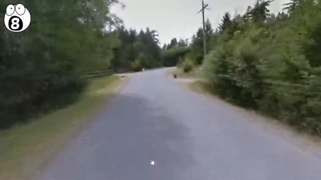 САМЫЕ ЛУЧШИЕ ПРИКОЛЫ #23 | ПРИКОЛЬНОЕ ВИДЕО | COUB