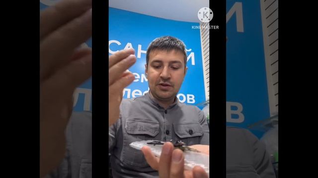 Ремонт телефонов сколько мы зарабатываем с одного сло смотреть онлайн