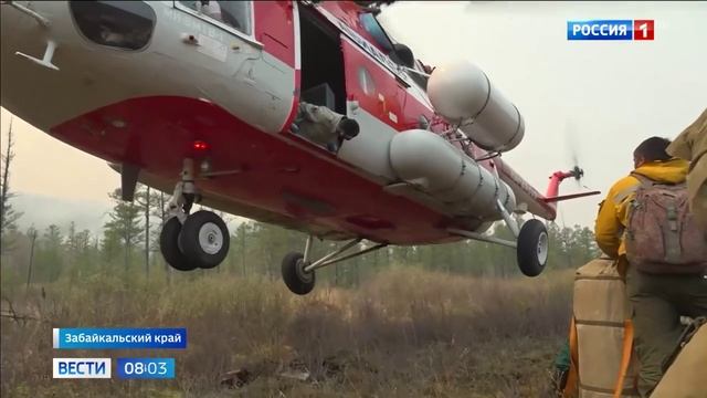 Россия 1 # Вести_Свыше 60 лесных пожаров потушено за сутки в 16 регионах России смотреть онлайн