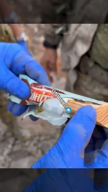 Хохлы теперь бобры смотреть онлайн