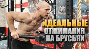 Как делать ОТЖИМАНИЯ НА БРУСЬЯХ правильно — техника, прогрессия, ошибки