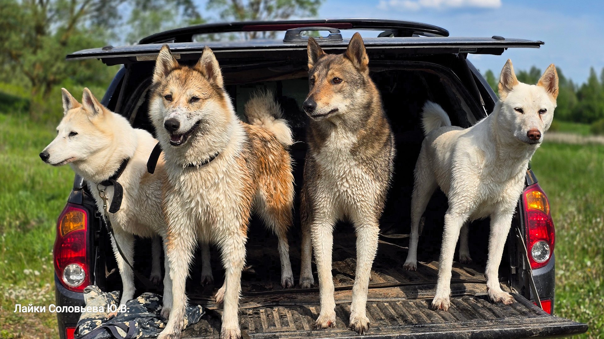 Открытие летнего сезона