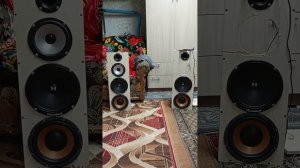 Самодельные колонки с озон. Замена нч динамиков на саб