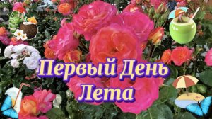 Здравствуй лето. С первым днём лета.