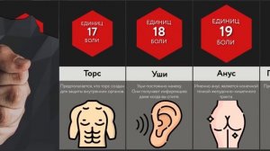 Лучше Не Бить Сюда!