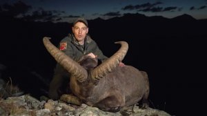 ТРОФЕЙНАЯ ОХОТА НА ТУРОВ И ДИКОГО ЯКА В КАРАЧАЕВО-ЧЕРК