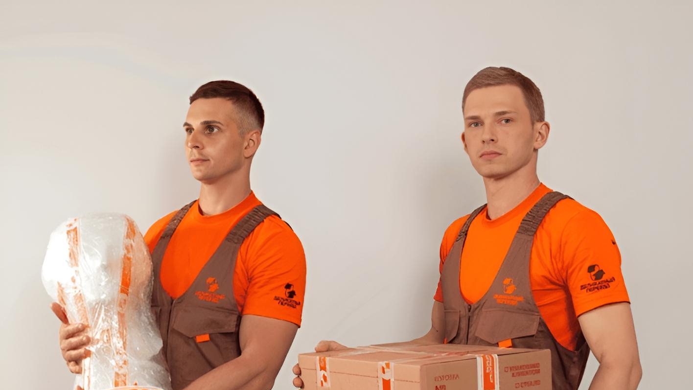 Liqvidhasyou  и Переезд