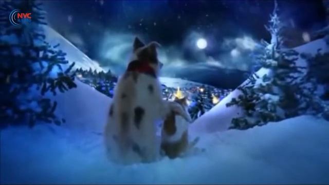 🔴 ПРЯМОЙ ЭФИР 26 ДЕКАБРЯ 2024 🔴 РАДИО ЧИКАГО смотреть онлайн